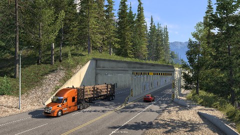 Tunnels and Snow Sheds