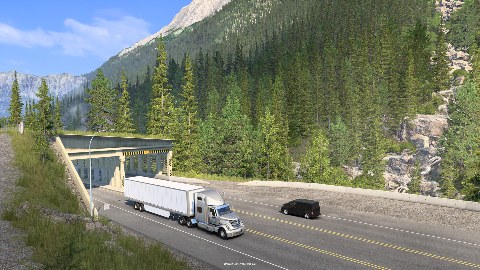 Tunnels and Snow Sheds