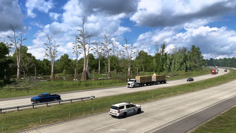Wetlands and Forests
