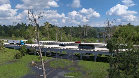 Wetlands and Forests