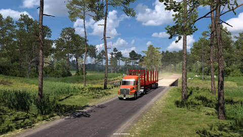 Wetlands and Forests