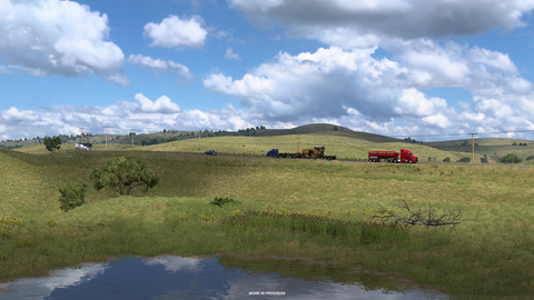 Grasslands and Forests