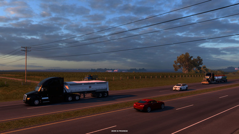 Grasslands and Forests